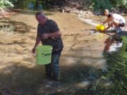 Poribljene pritoke Sane sa 250 kg potočne pastrmke lovne veličine