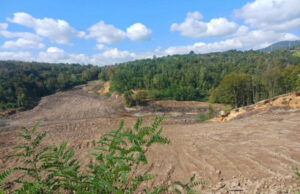 Uništavanje imanja u Bistrici za Tužilaštvo nije krivično djelo