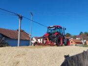 Priprema se silaža, urod kuruza prepolovljen