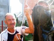 Duraković ulovio soma dužeg od sebe