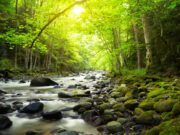 Najbogatija zemlja na svijetu: BiH ima toliko novca da džentlmenski stotine milione prepušta drugima