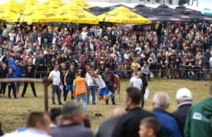 Incident na Manjači: Djevojka izbola mladića