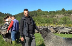 Napustio Švicarsku nakon 40 dana i vratio se svojim ovcama u BiH