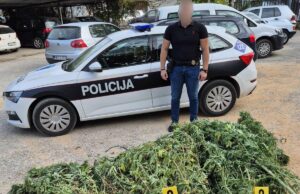 U plasteniku pronašli 50 kg droge