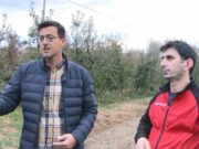 Osim proljetnih mrazeva i drugih vremenskih neprilika štetu voćarima nanijele i smrdibube