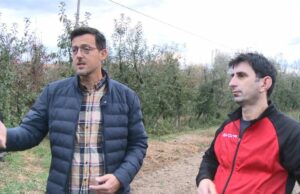 Osim proljetnih mrazeva i drugih vremenskih neprilika štetu voćarima nanijele i smrdibube