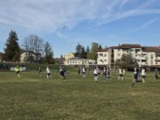 Poraz Bereka u Knežici