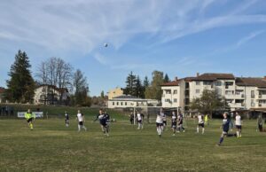 Poraz Bereka u Knežici