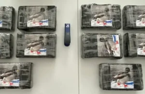 Vanja Vuković ”pao” u Austriji zbog šverca 10 kilograma kokaina