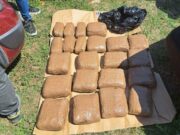 Akcija “Insajder”: Grujić i Žutić u Banjaluci optuženi za prodaju i držanje droge