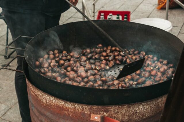 kestenijada-kostajnica_0992-15