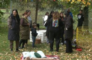 „Puppy party“ u parku kod Bereka