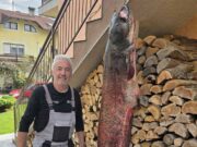 Ulovio soma kapitalaca