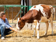 Mlade žene nisu stimulisane da se bave poljoprivredom