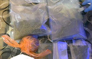 Pretresom pronađena marihuana u Prijedoru