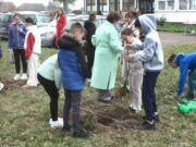 Brezičanski učenici sadili voće