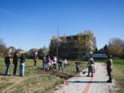 Prijedor: Zasađeno 80 sadnica drveća i ukrasnog žbunja