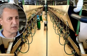 “Je li nas sramota raditi na farmi?”: Jusuf daje platu 1.750 KM, ali nema zainteresovanih