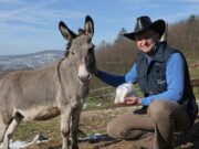 Alen napravio kapsule od “bijelog zlata”: Moćan proizvod za ljepotu, zdravlje i imunitet