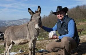 Alen napravio kapsule od “bijelog zlata”: Moćan proizvod za ljepotu, zdravlje i imunitet