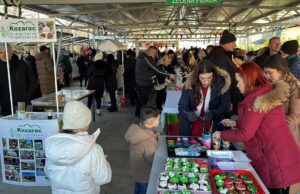 Zimski sajam u Kozarcu ispunio očekivanja