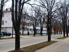 Utajom poreza na prihod oštetio Budžet