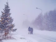 Snažna oluja u Švedskoj: Desetine hiljada domaćinstava nema struju, stanovništvo pozvano da ne izlazi napolje