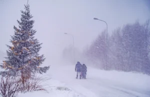 Snažna oluja u Švedskoj: Desetine hiljada domaćinstava nema struju, stanovništvo pozvano da ne izlazi napolje