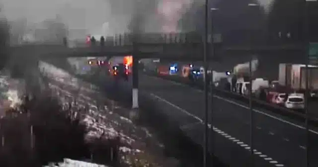 2754759.width-660.format-webp