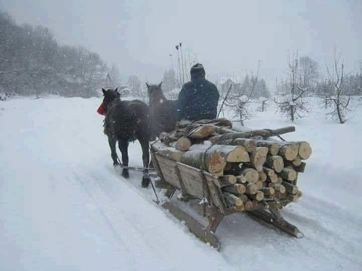 Detalj iz bosanske zime