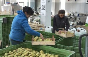 Solarna elektrana za doprinos razvoju poljoprivredne proizvodnje u Prijedoru