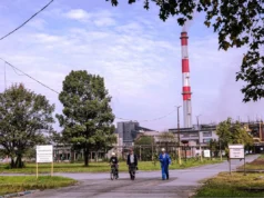 Bh. gigant prodaje se za 225 miliona KM