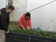 Korisnici “Nevena” ovih dana s ponosom ubiru prve plodove iz svoja dva plastenika