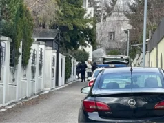 Detalji eksplozije: Geleri izrešetali kuću i vozni park Zdravka Čolića