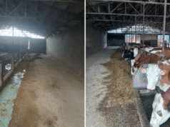 Poznata farma u Gradiškoj ugasila proizvodnju, stoku prodali u Jelah