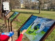 Edukativne table pored šetališta u Starom gradu