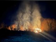 Nekoliko požara napravilo štetu na voćnjacima i šumi