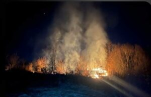 Nekoliko požara napravilo štetu na voćnjacima i šumi