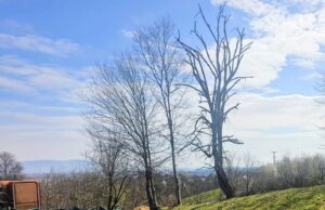 Počela rekonstrukcija vodovodne mreže i puta u Hambarinama kod Prijedora