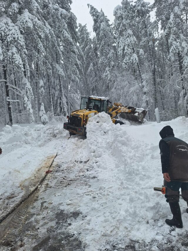 FB_IMG_1774713528371