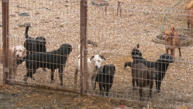 prihvatiliste-bez-potpisa-1068x601