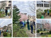 Nagrade i zahvalnice učesnicima ovogodišnje akcije “Čisto proljeće” biće uručene 3. aprila