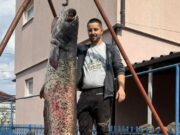 Bilećanin ulovio kapitalnog soma