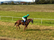 Spektakl na „Šejkovači“: Međunarodne konjičke utrke u Sanskom Mostu 4. aprila