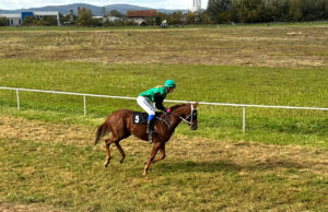 Spektakl na „Šejkovači“: Međunarodne konjičke utrke u Sanskom Mostu 4. aprila
