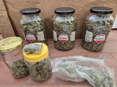 Akcija „Dalton“ u Prijedoru: Oduzeto više od 4 kg marihuane, jedno lice uhapšeno