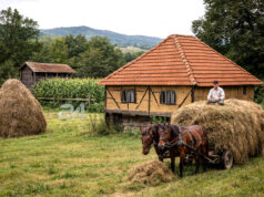 Nestanak naših sela: Tišina koja postaje sve glasnija
