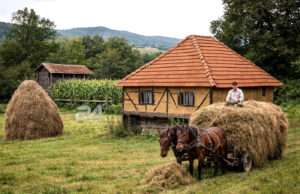 Nestanak naših sela: Tišina koja postaje sve glasnija