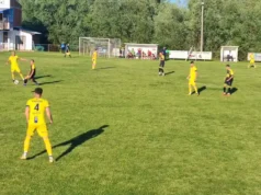 Brdo sigurnom pobjedom protiv Gomjenice do plasmana u polufinale