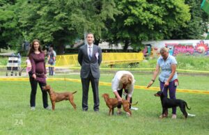 PRIJEDOR DOG SHOW 2026. u Starom Gradu 31. maja